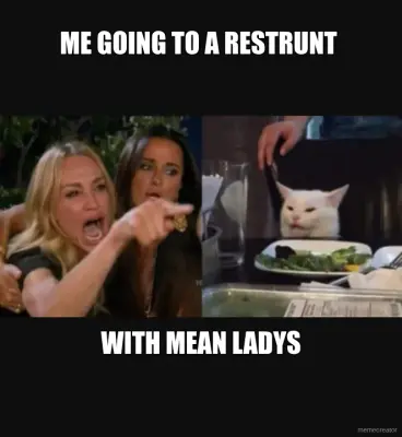 ME GOING TO A RESTRUNT  - WITH MEAN LADYS meme