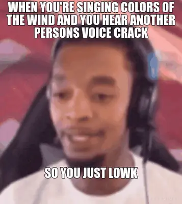 WHEN YOU'RE SINGING COLORS OF THE WIND AND YOU HEAR ANOTHER PERSONS VOICE CRACK - SO YOU JUST LOWK meme