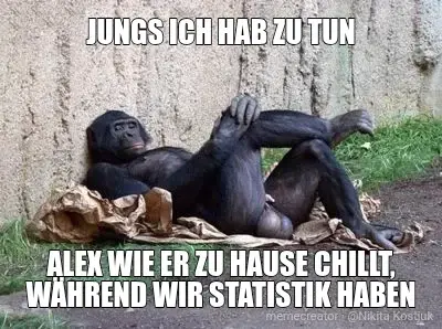 JUNGS ICH HAB ZU TUN - ALEX WIE ER ZU HAUSE CHILLT, WÄHREND WIR STATISTIK HABEN meme