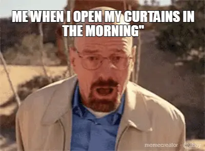 ME WHEN I OPEN MY CURTAINS IN THE MORNING" meme