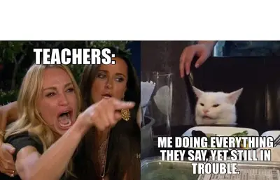 TEACHERS: - ME DOING EVERYTHING THEY SAY, YET STILL IN TROUBLE. meme