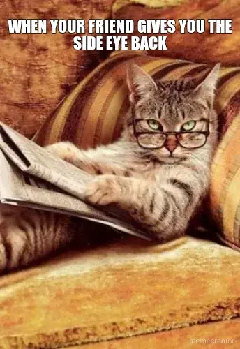 WHEN YOUR FRIEND GIVES YOU THE SIDE EYE BACK meme