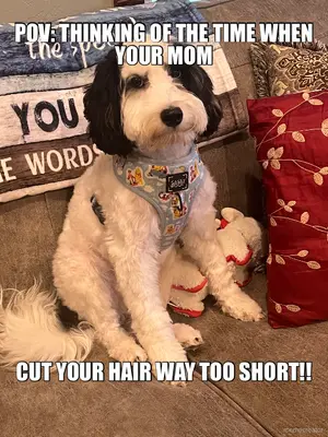 POV: THINKING OF THE TIME WHEN YOUR MOM - CUT YOUR HAIR WAY TOO SHORT!! meme