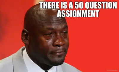 THERE IS A 50 QUESTION ASSIGNMENT meme