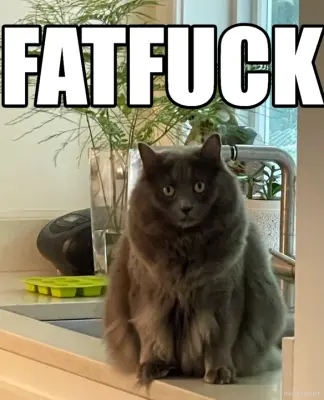 FATFUCK meme