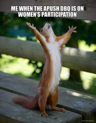 ME WHEN THE APUSH DBQ IS ON WOMEN’S PARTICIPATION meme