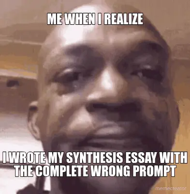 ME WHEN I REALIZE - I WROTE MY SYNTHESIS ESSAY WITH THE COMPLETE WRONG PROMPT meme
