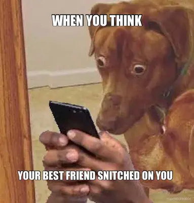 WHEN YOU THINK - YOUR BEST FRIEND SNITCHED ON YOU meme