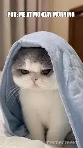 POV: ME AT MONDAY MORNING
