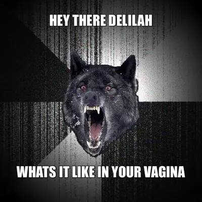 HEY THERE DELILAH - WHATS IT LIKE IN YOUR VAGINA meme