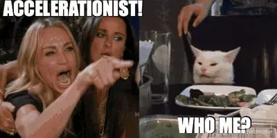 ACCELERATIONIST! - WHO ME? meme