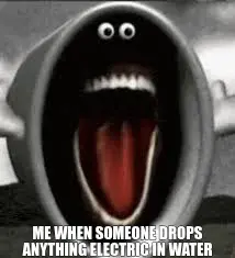 ME WHEN SOMEONE DROPS ANYTHING ELECTRIC IN WATER meme