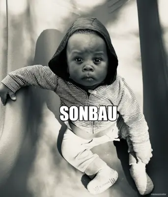 sonion-meme-generator-make-a-sonion-meme-free-meme-creator