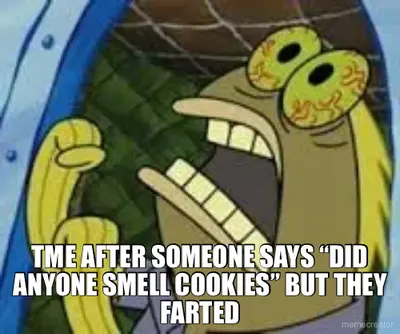 TME AFTER SOMEONE SAYS “DID ANYONE SMELL COOKIES” BUT THEY FARTED meme