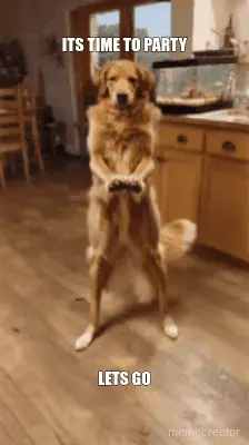 ITS TIME TO PARTY - LETS GO meme