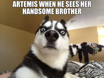 ARTEMIS WHEN HE SEES HER HANDSOME BROTHER meme