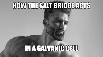 HOW THE SALT BRIDGE ACTS - IN A GALVANIC CELL meme