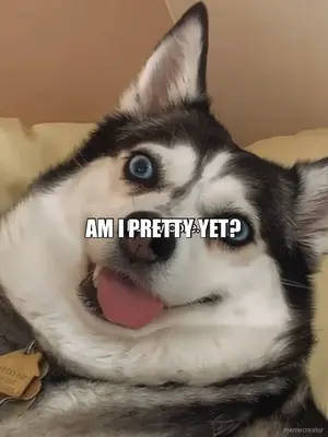 AM I PRETTY YET? meme