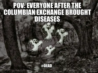POV: EVERYONE AFTER THE COLUMBIAN EXCHANGE BROUGHT DISEASES - #DEAD meme