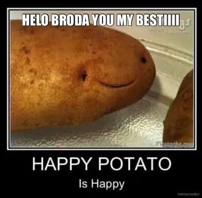 Hello broda meme
