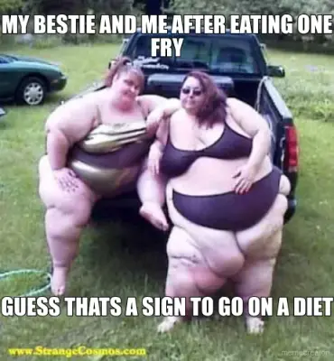 MY BESTIE AND ME AFTER EATING ONE FRY - GUESS THATS A SIGN TO GO ON A DIET meme