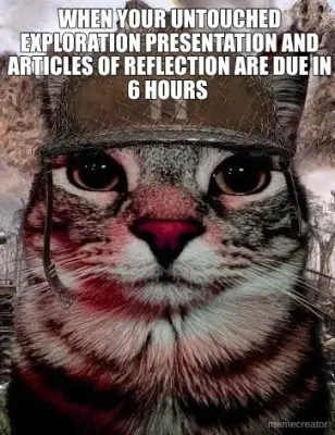 WHEN YOUR UNTOUCHED EXPLORATION PRESENTATION AND ARTICLES OF REFLECTION ARE DUE IN 6 HOURS meme