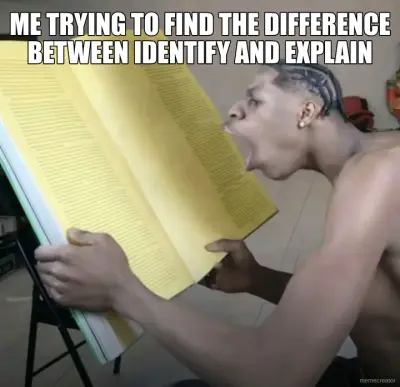 ME TRYING TO FIND THE DIFFERENCE BETWEEN IDENTIFY AND EXPLAIN meme