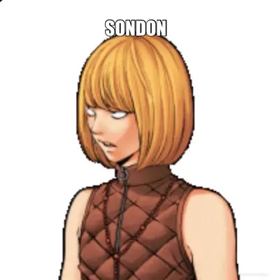 SONDON meme