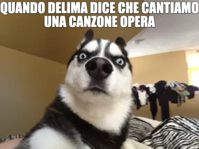 QUANDO DELIMA DICE CHE CANTIAMO UNA CANZONE OPERA meme