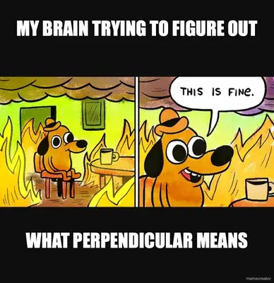 MY BRAIN TRYING TO FIGURE OUT - WHAT PERPENDICULAR MEANS meme