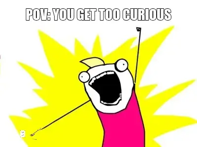 POV: YOU GET TOO CURIOUS meme
