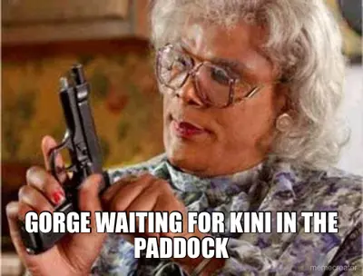 GORGE WAITING FOR KINI IN THE PADDOCK