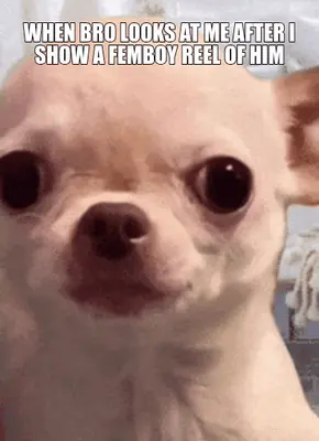 WHEN BRO LOOKS AT ME AFTER I SHOW A FEMBOY REEL OF HIM meme