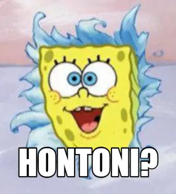 HONTONI? meme