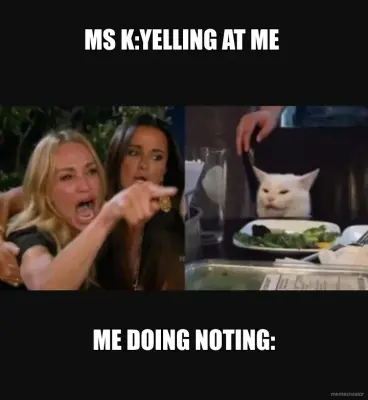 MS K:YELLING AT ME  | ME DOING NOTING: meme