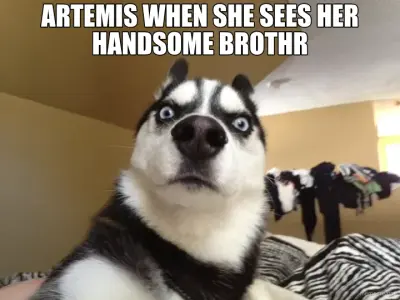 ARTEMIS WHEN SHE SEES HER HANDSOME BROTHR meme