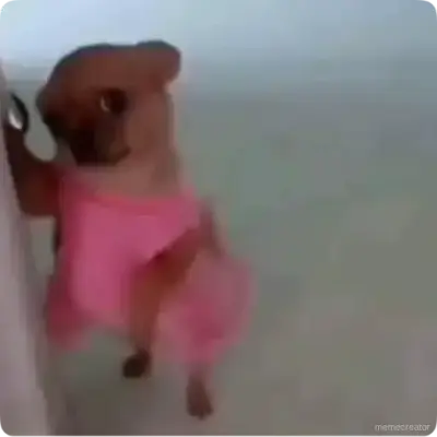 ME WHEN I HEAD TO THE HIGH SCHOOL FOR THE CONCERT Meme Generator  Make a  ME WHEN I HEAD TO THE HIGH SCHOOL FOR THE CONCERT Meme Free | Meme Creator