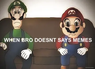 WHEN BRO DOESNT SAYS MEMES meme