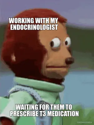 WORKING WITH MY 
ENDOCRINOLOGIST | WAITING FOR THEM TO 
PRESCRIBE T3 MEDICATION meme