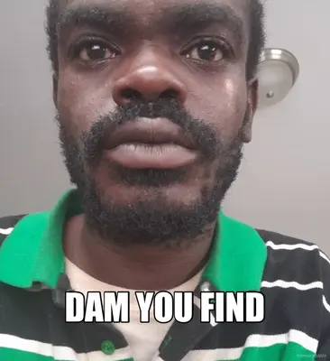 Dam you find meme