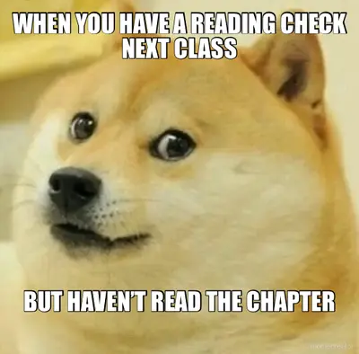 WHEN YOU HAVE A READING CHECK NEXT CLASS - BUT HAVEN’T READ THE CHAPTER meme