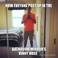 HOW EVEYONE POST UP IN THE  - BATHROOM MIRROR'S - VINNY NOCE meme