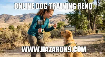 WWW.HAZARDK9.COM — ONLINE DOG TRAINING RENO meme