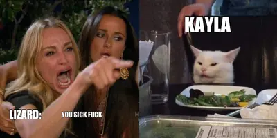 LIZARD: - KAYLA - YOU SICK FUCK meme