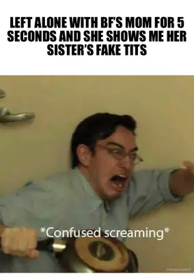 LEFT ALONE WITH BF’S MOM FOR 5 SECONDS AND SHE SHOWS ME HER SISTER’S FAKE TITS meme