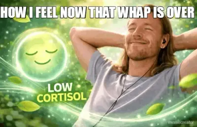 HOW I FEEL NOW THAT WHAP IS OVER meme