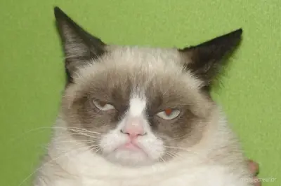 20122110135832 meme meme