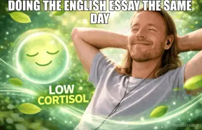 DOING THE ENGLISH ESSAY THE SAME DAY meme
