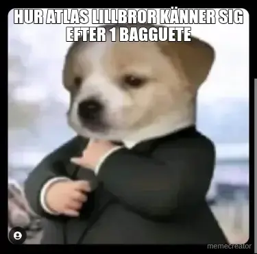 HUR ATLAS LILLBROR KÄNNER SIG EFTER 1 BAGGUETE meme