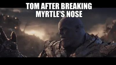TOM AFTER BREAKING
MYRTLE'S NOSE - meme